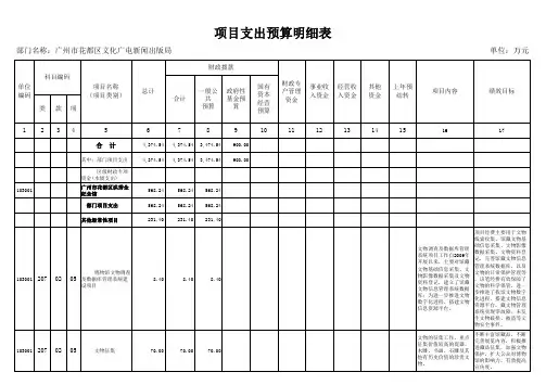 项目支出预算明细表