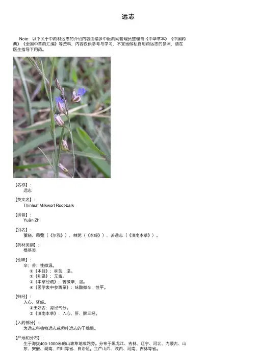 远志——精选推荐