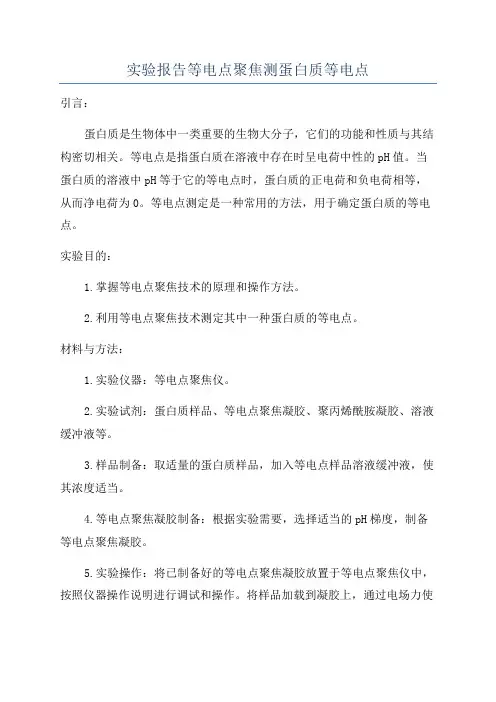 实验报告等电点聚焦测蛋白质等电点