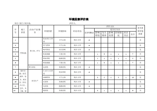 环境因素评价