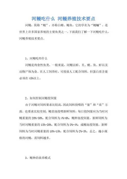河鳗吃什么 河鳗养殖技术要点