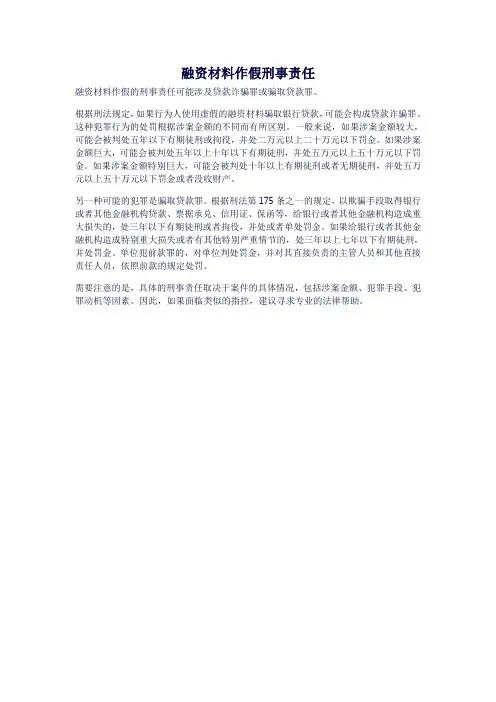 融资材料作假刑事责任