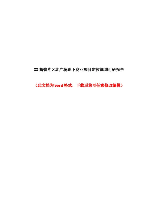XX高铁片区北广场地下商业项目定位规划可研报告