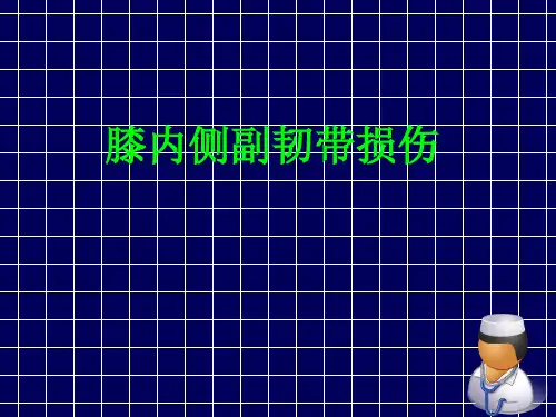 膝关节内侧副韧带损伤讲解