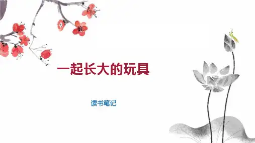 一起长大的玩具