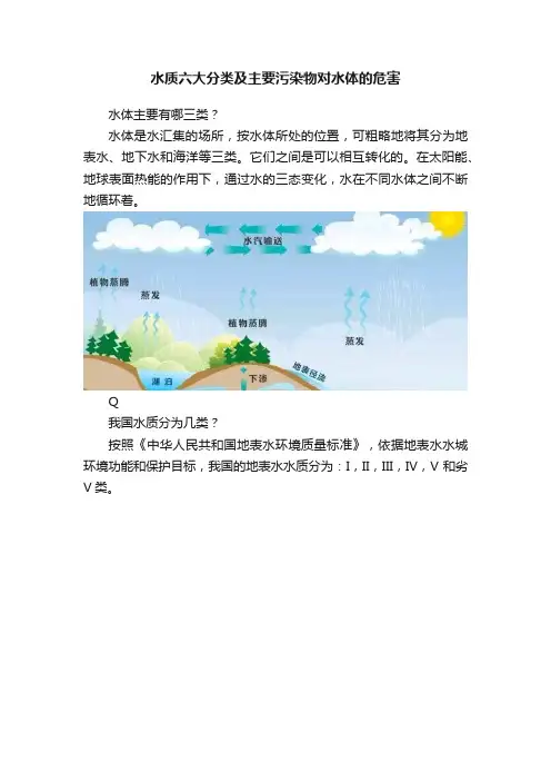 水质六大分类及主要污染物对水体的危害