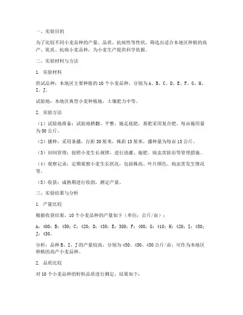 小麦品比实验报告