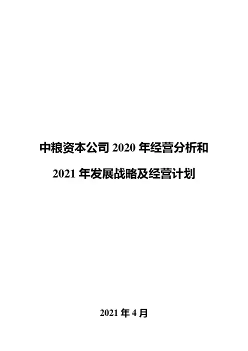 中粮资本公司2020年经营分析和2021年发展战略及经营计划