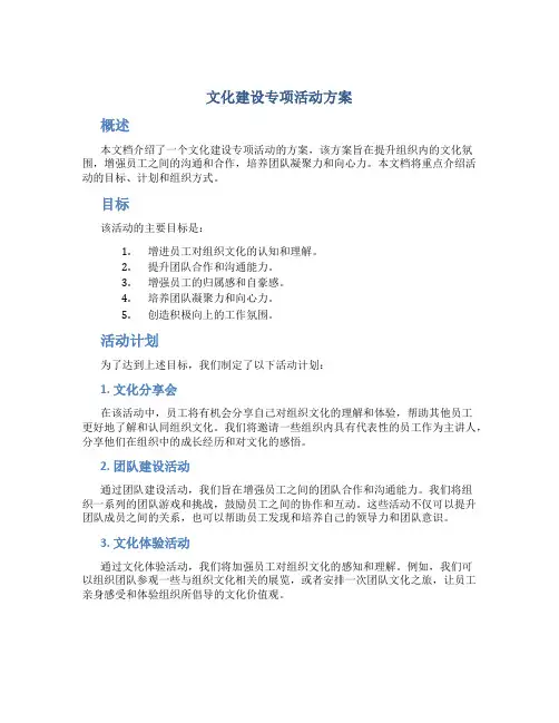 文化建设专项活动方案