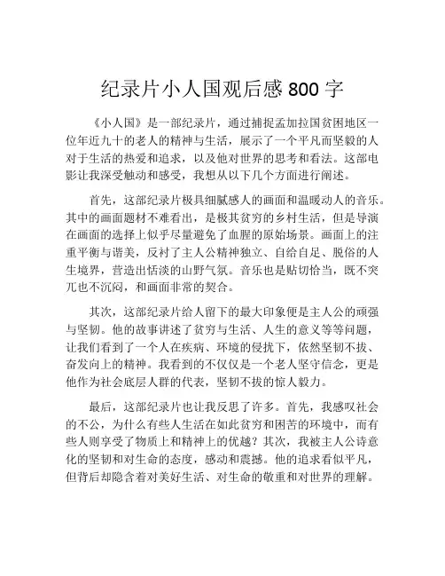 纪录片小人国观后感800字