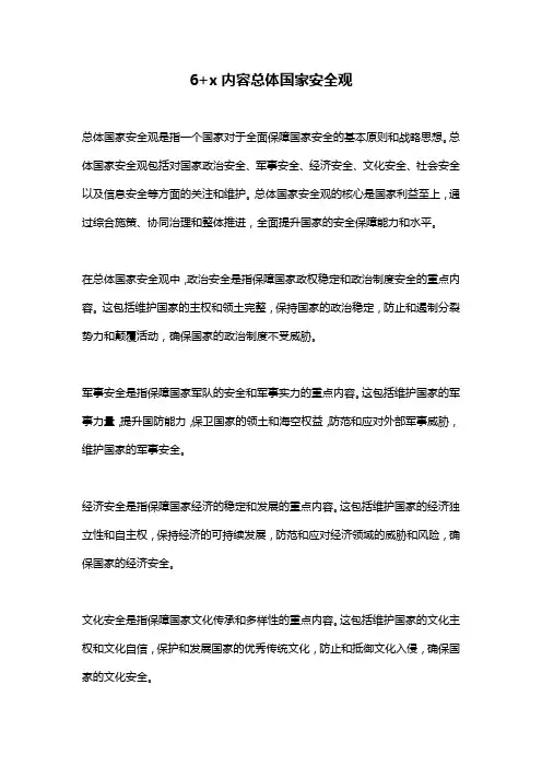 6+x内容总体国家安全观