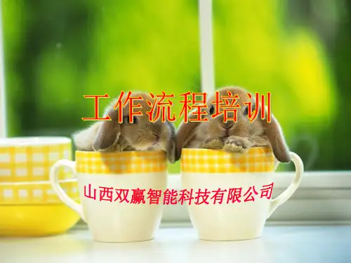 工作流程图