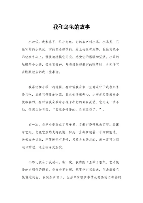 我和乌龟的故事