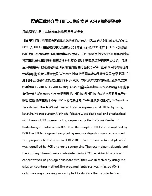 慢病毒载体介导HIF1α稳定表达A549细胞系构建