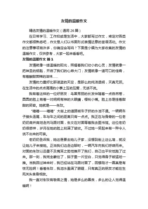 精选友情的温暖作文（通用26篇）