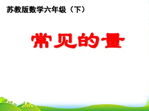 苏教版六年级下册数学课件常见的量 (共24张PPT)