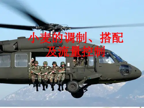 小麦的搭配与调质