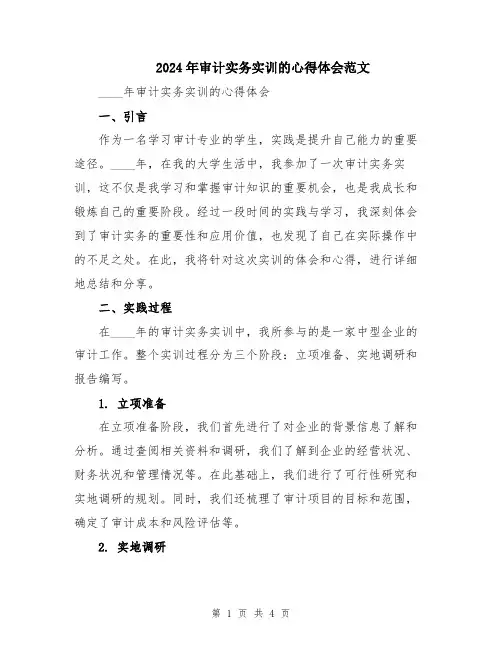 2024年审计实务实训的心得体会范文