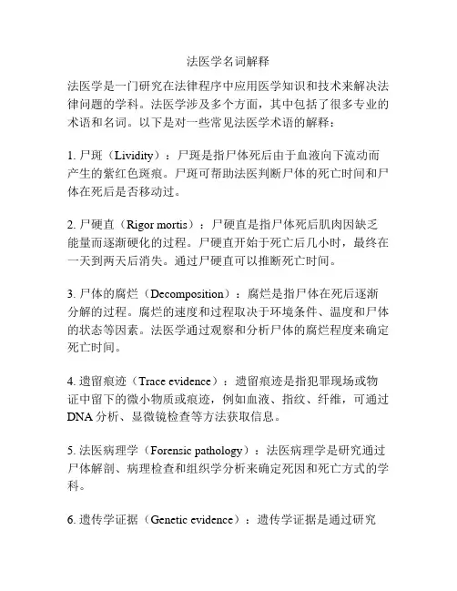 法医学名词解释