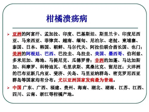 柑橘主要病害及其防治ppt课件