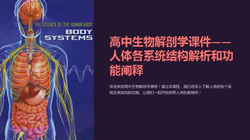 “高中生物解剖学课件——人体各系统结构解析和功能阐释”