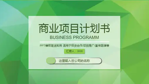 项目推广计划ppt模板