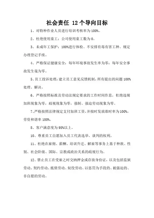 社会责任 12个导向目标