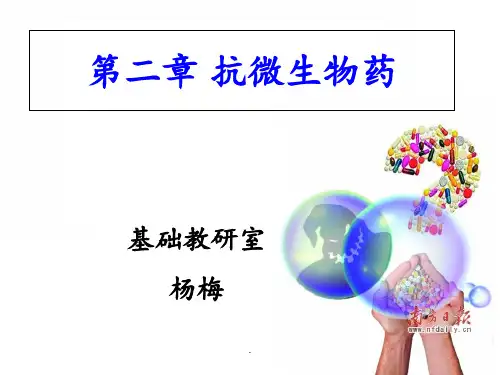 第二章抗微生物用药PPT课件