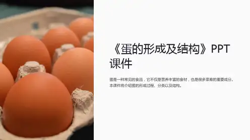 《蛋的形成及结构》课件