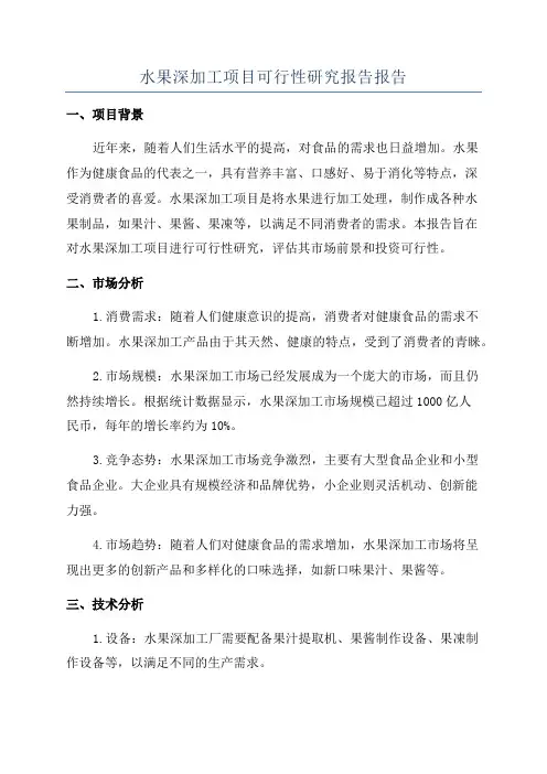 水果深加工项目可行性研究报告报告