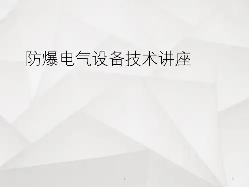 《防爆电气设备培训》PPT课件