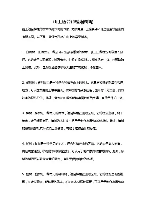 山上适合种植啥树呢