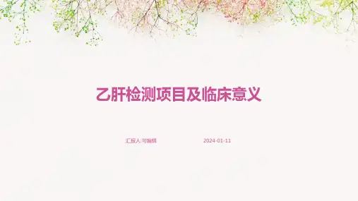 乙肝检测项目及临床意义PPT