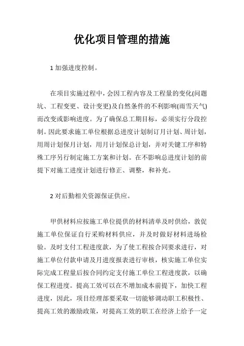 优化项目管理的措施【最新版】