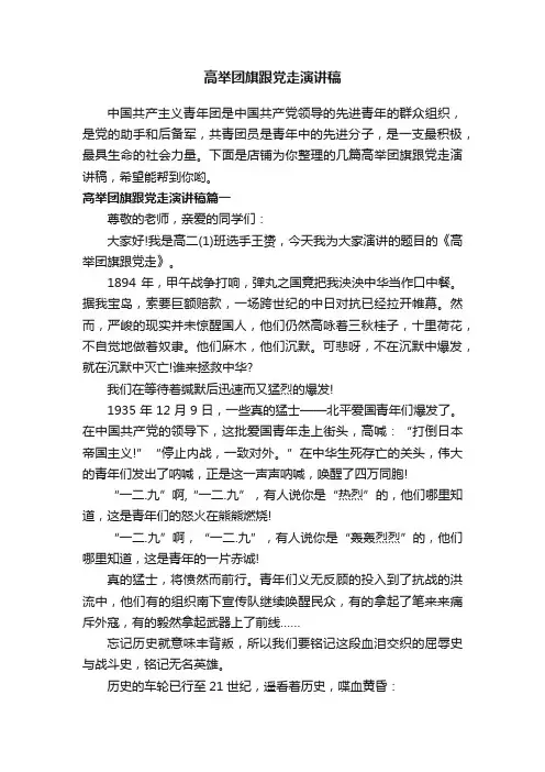 高举团旗跟党走演讲稿