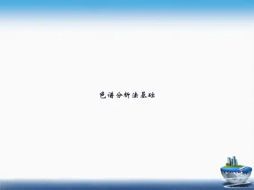 色谱分析法基础讲课文档