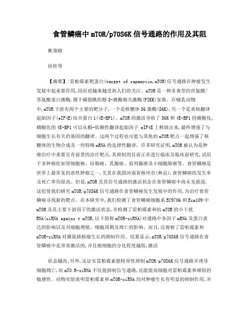 食管鳞癌中mTORp70S6K信号通路的作用及其阻断策略
