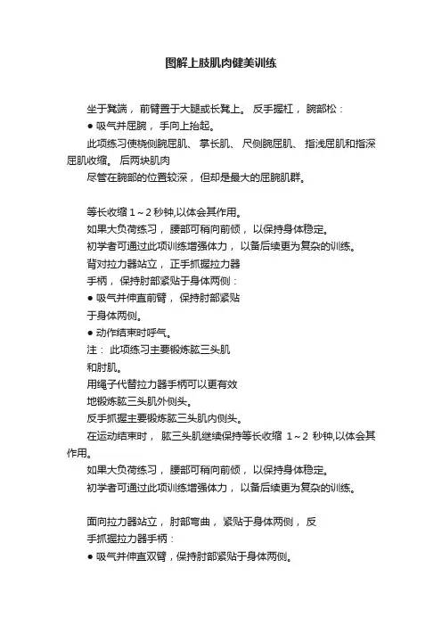 图解上肢肌肉健美训练