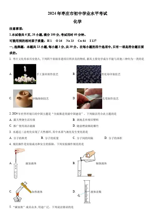 2024年山东省枣庄市中考化学真题试卷含详解
