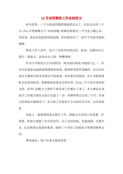 2019年12月试用期的工作总结范文