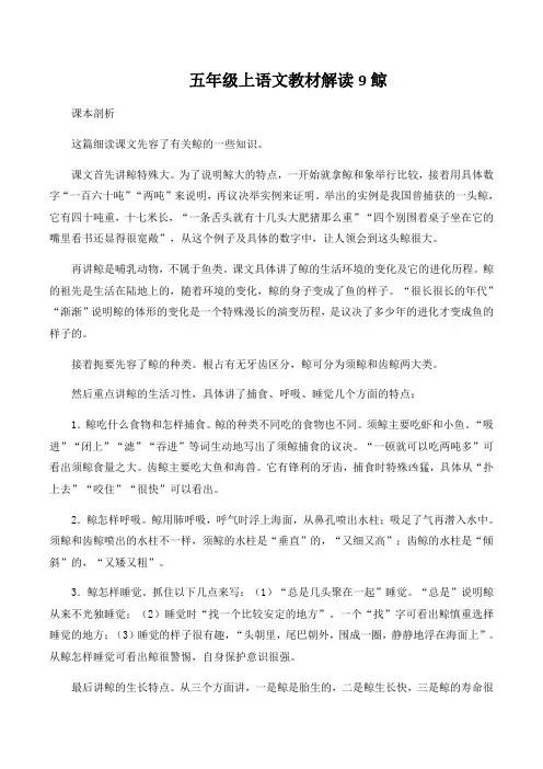 五年级上语文教材解读9鲸