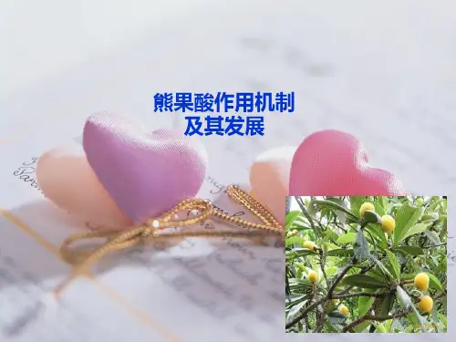 熊果酸