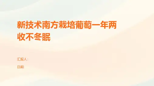 新技术南方栽培葡萄一年两收不冬眠