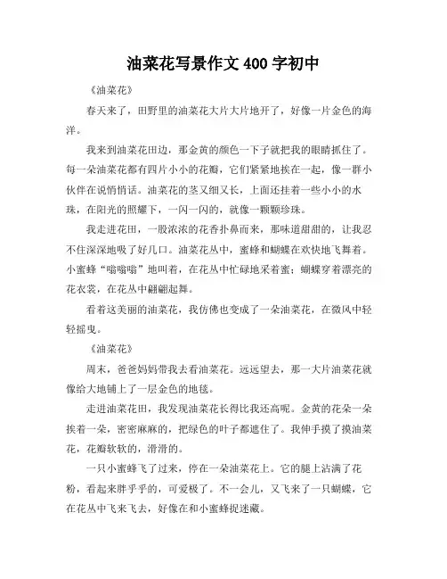 油菜花写景作文400字初中