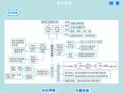 【人教版】基因的本质PPT优秀课件1