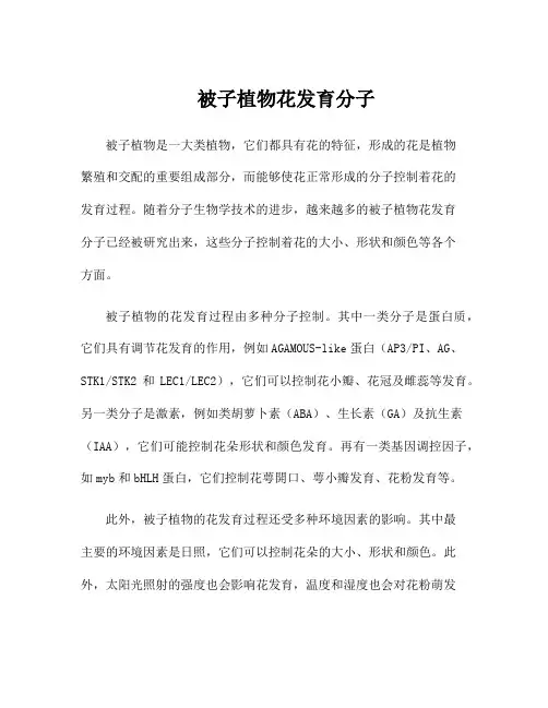 被子植物花发育分子