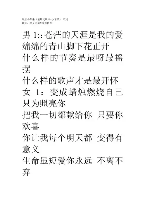 《最炫小苹果》歌词