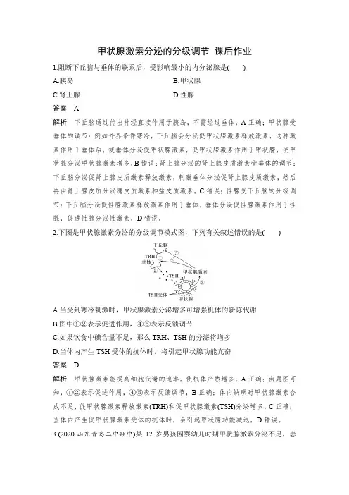 甲状腺激素分泌的分级调节 课后作业