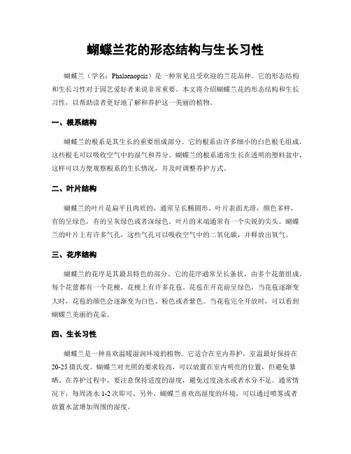 蝴蝶兰花的形态结构与生长习性