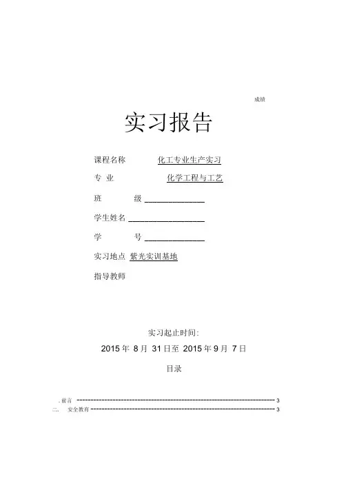 南京紫光实习报告